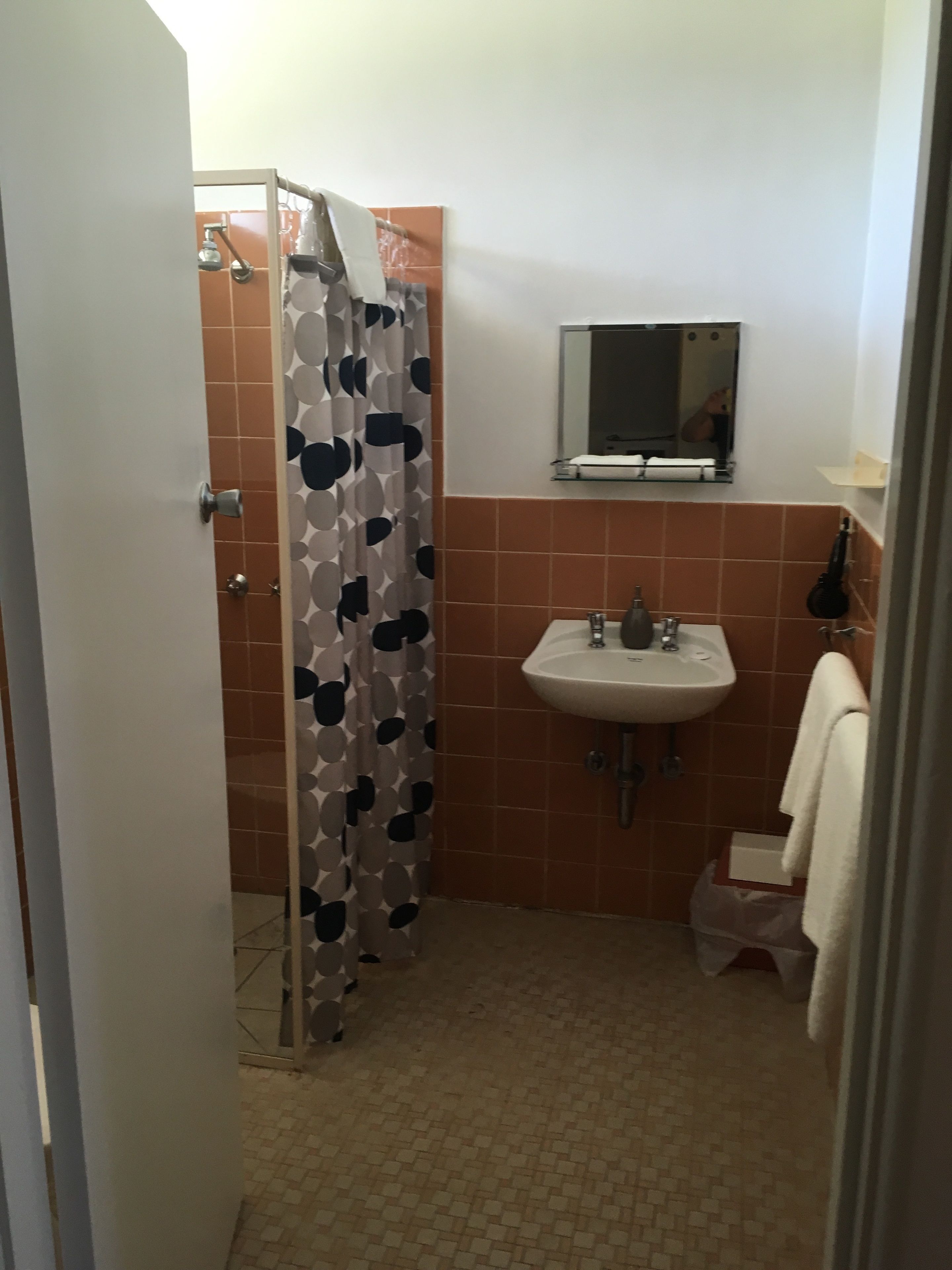 A bathroom with a shower, a sink, and a mirror.