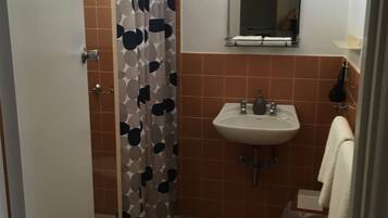 A bathroom with a shower, a sink, and a mirror.