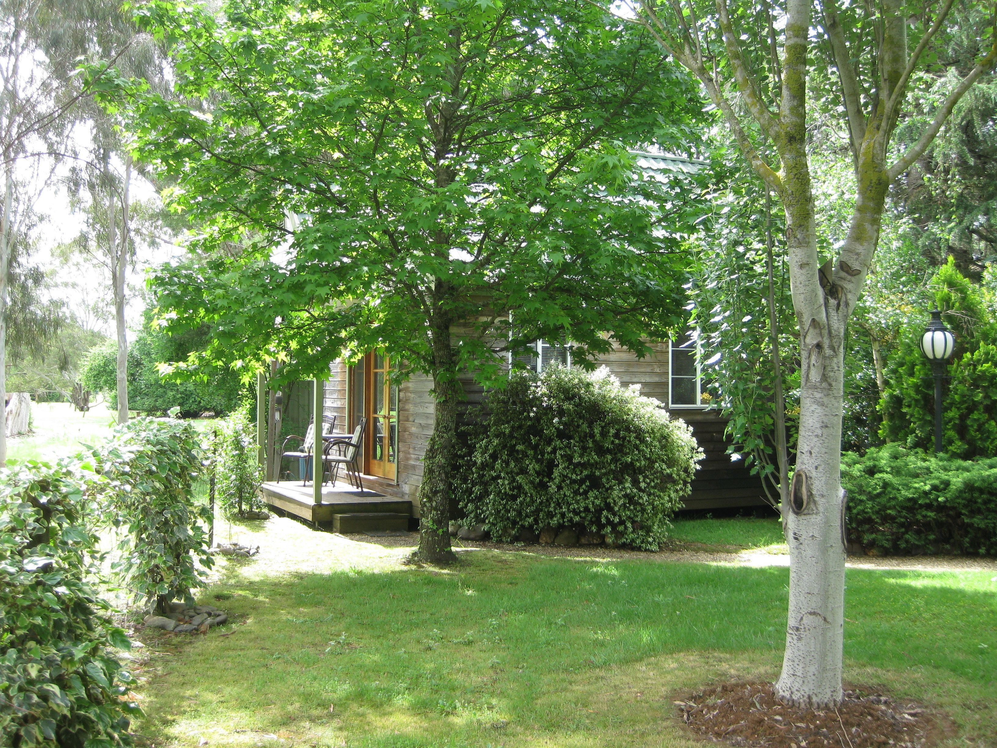 A wooden house with a porch, surrounded by lush greenery and trees.