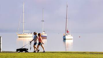 A grassy area with a dog on a leash, people walking, and sailboats on calm water in the background.