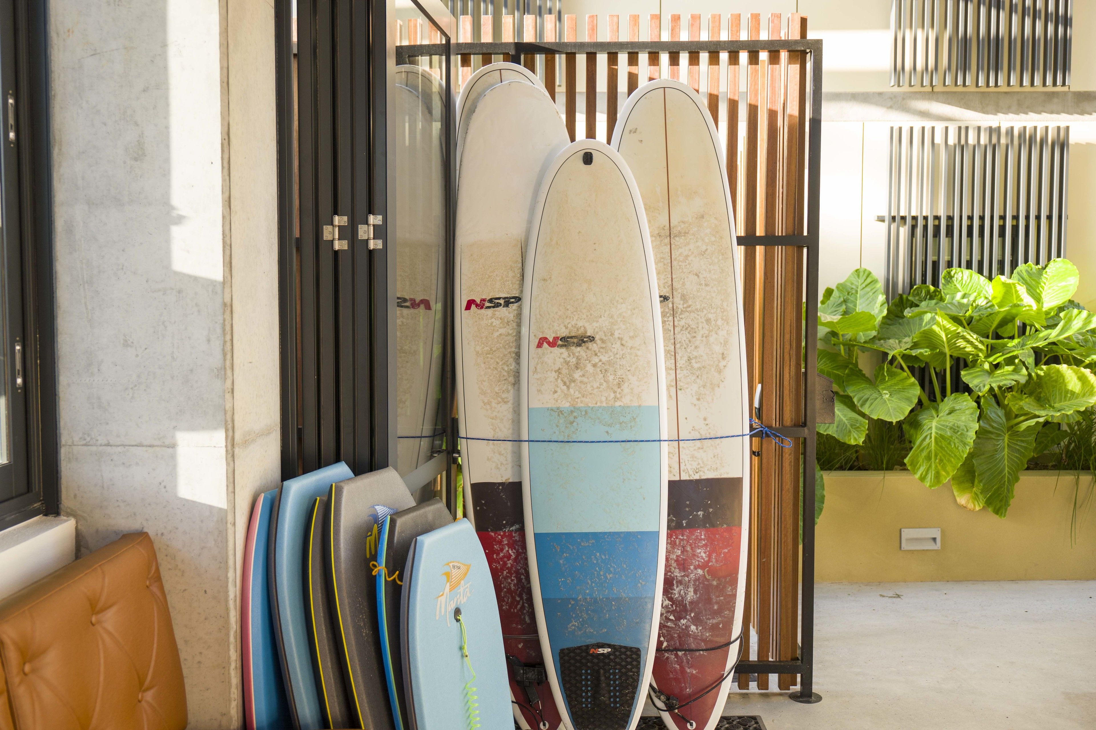 Diversas pranchas de surf apoiadas numa parede, uma cerca de madeira e um vaso com planta.