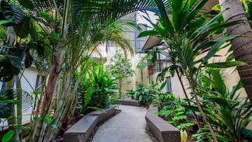 Jardim