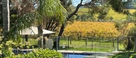 Un patio trasero con piscina, rodeado de una cerca, árboles y plantas.
