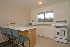 Estudio estándar, para no fumadores, cocineta (Studio) | Cocina privada