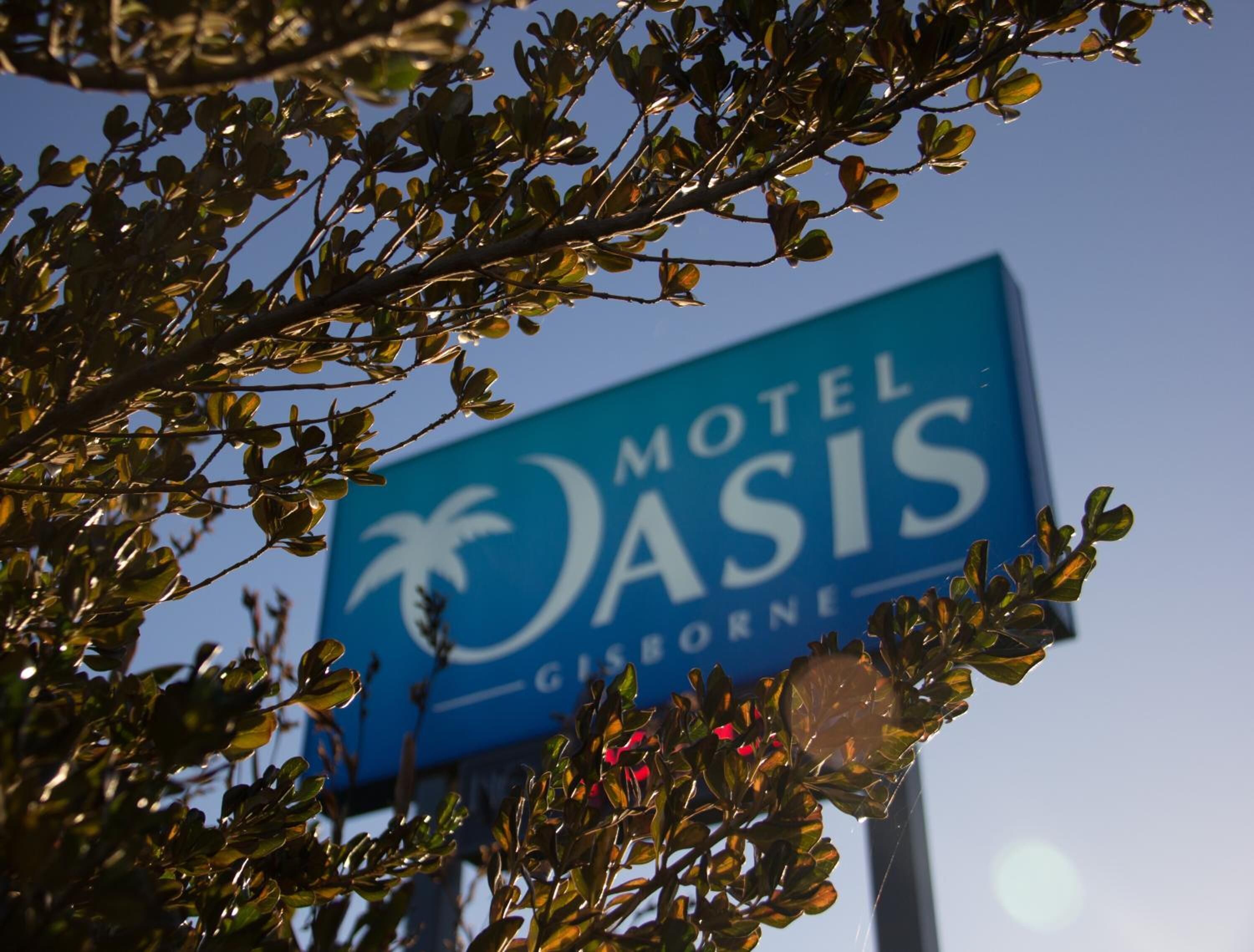 A motel sign with a palm tree logo and the name 'Motel Oasis'.