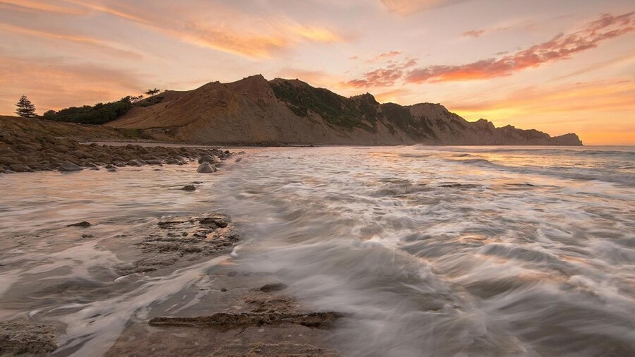Motel Oasis, Gisborne