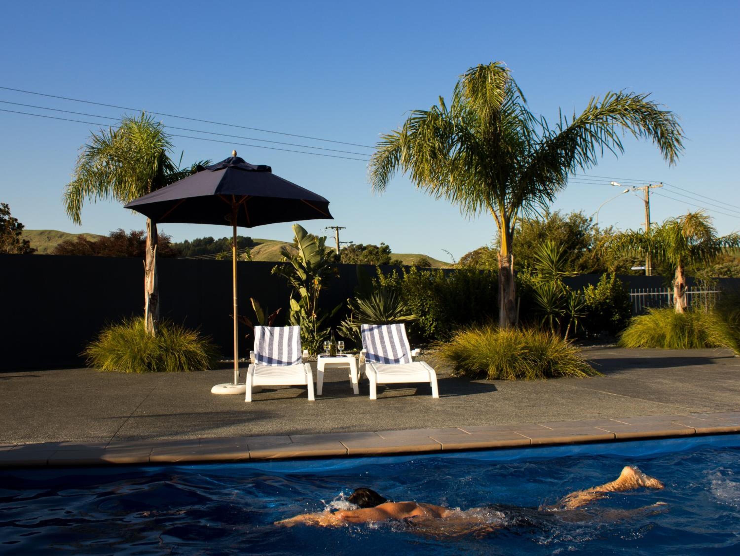 Une piscine entourée de palmiers et d’une clôture, avec des chaises longues et un parasol.