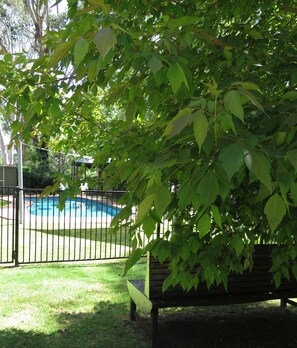 Outdoor pool - Beechworth Holiday Park (Beechworth)