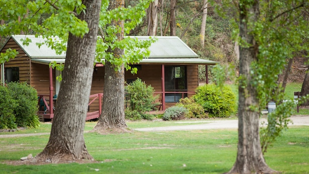 Kelly's Cottage | Property grounds - Beechworth Holiday Park (Beechworth)