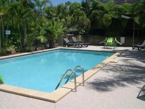 A rectangular pool with a tiled edge, surrounded by lounge chairs and palm trees. - Anchorage Motor Inn (Caloundra)