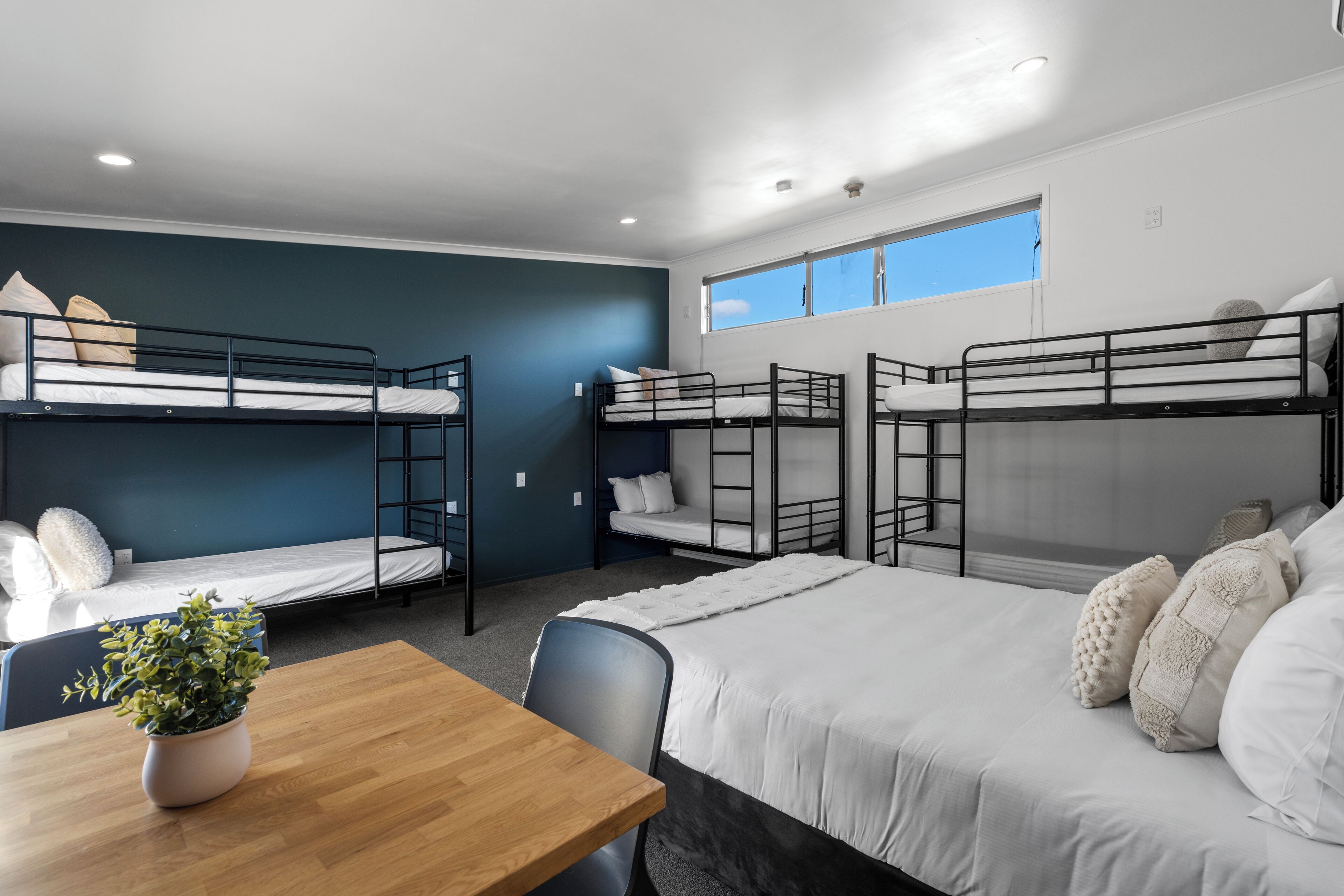 A dormitory room with bunk beds, a wooden table, and a potted plant.