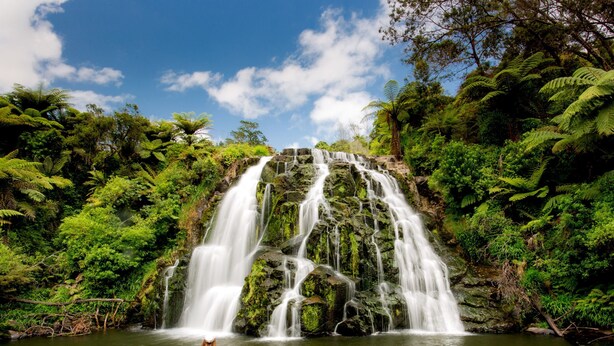 A waterfall surrounded by lush greenery. - Tasman Holiday Parks – Beachaven (Waihi Beach)