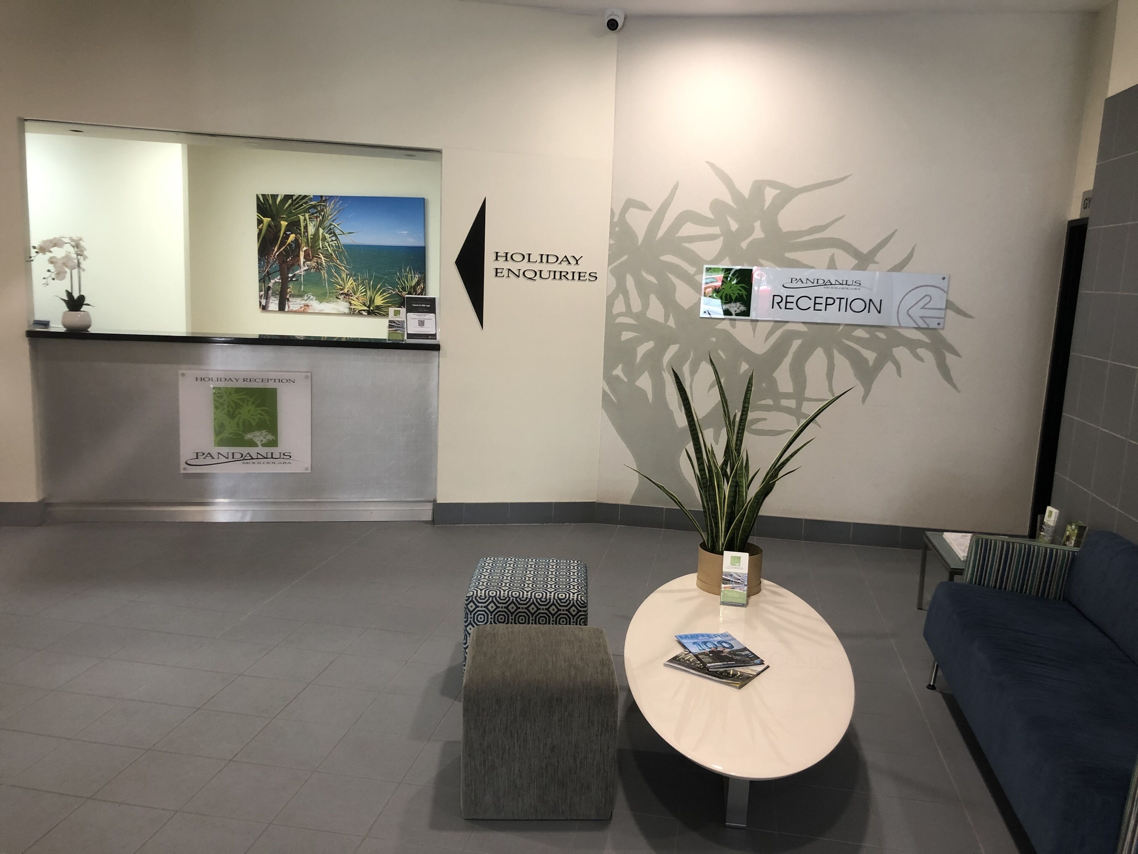 Pandanus Mooloolaba — image 30