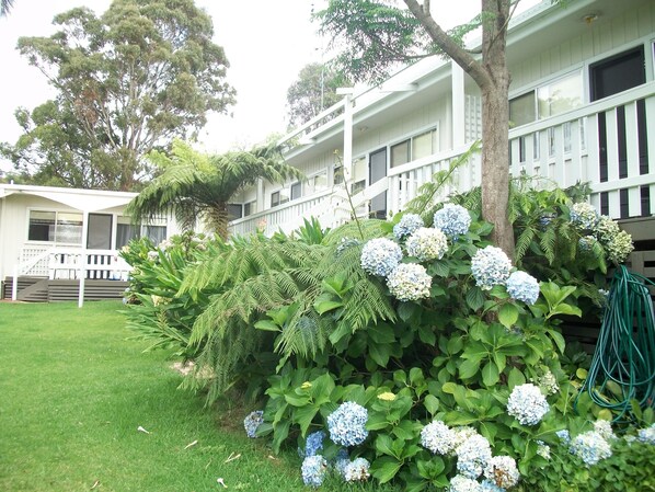 Lobby - Top of the Lake Units (Millingandi)