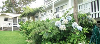 Top of the Lake Units