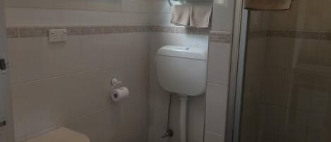 A small bathroom with a toilet, a towel rack, and a shower area.