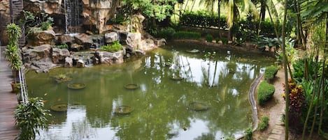 Jardín