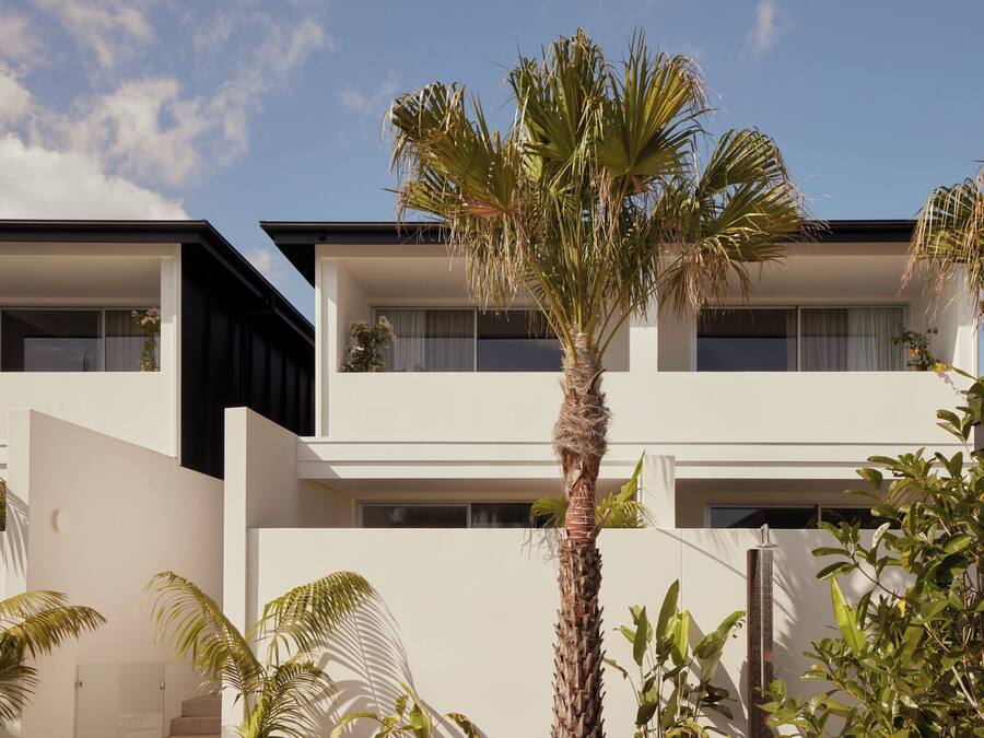 Un edifici modern amb teulada plana, finestres grans i una palmera al primer pla.