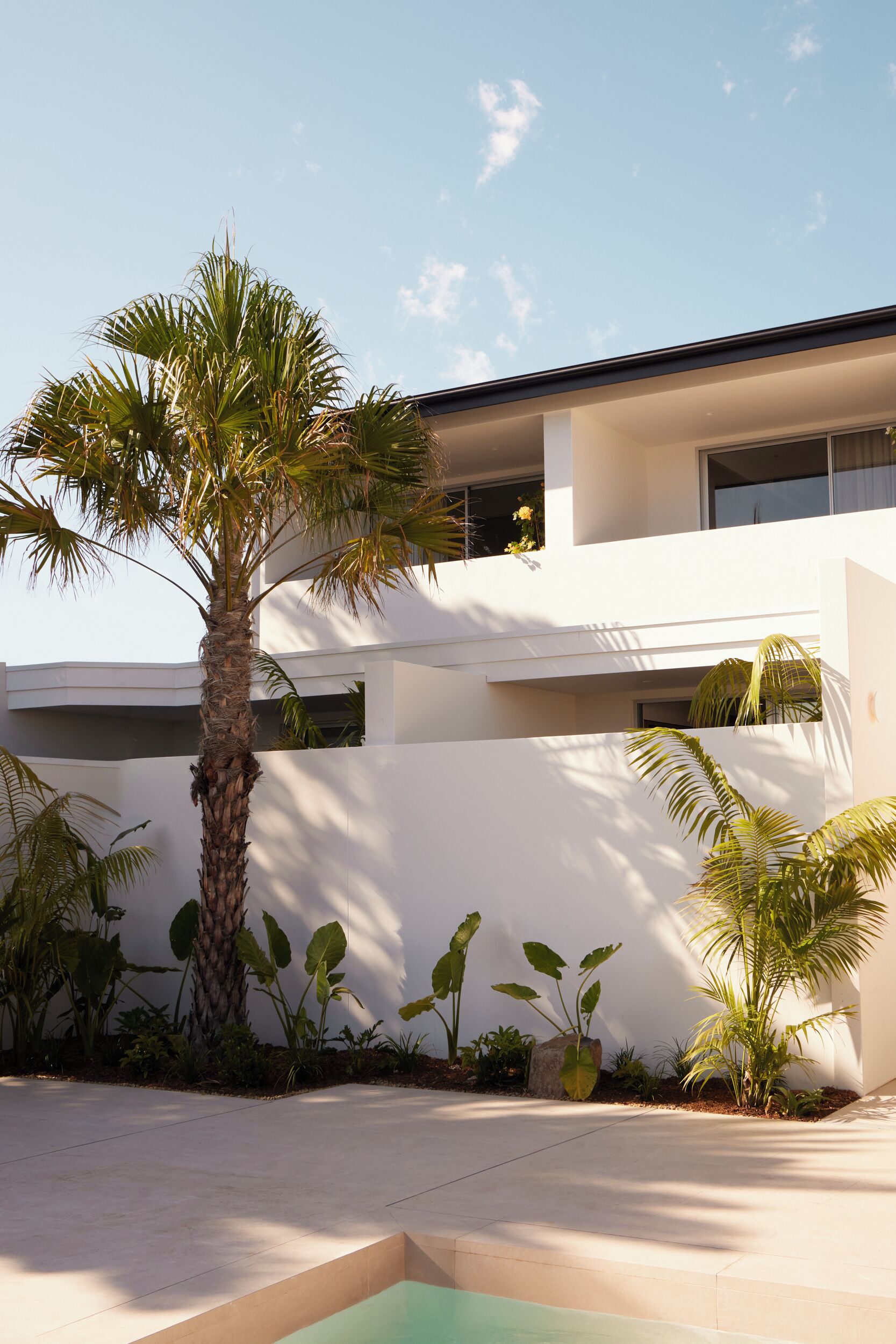 Um edifício moderno de dois andares com telhado plano, rodeado por diversas plantas tropicais e uma pequena área de piscina.