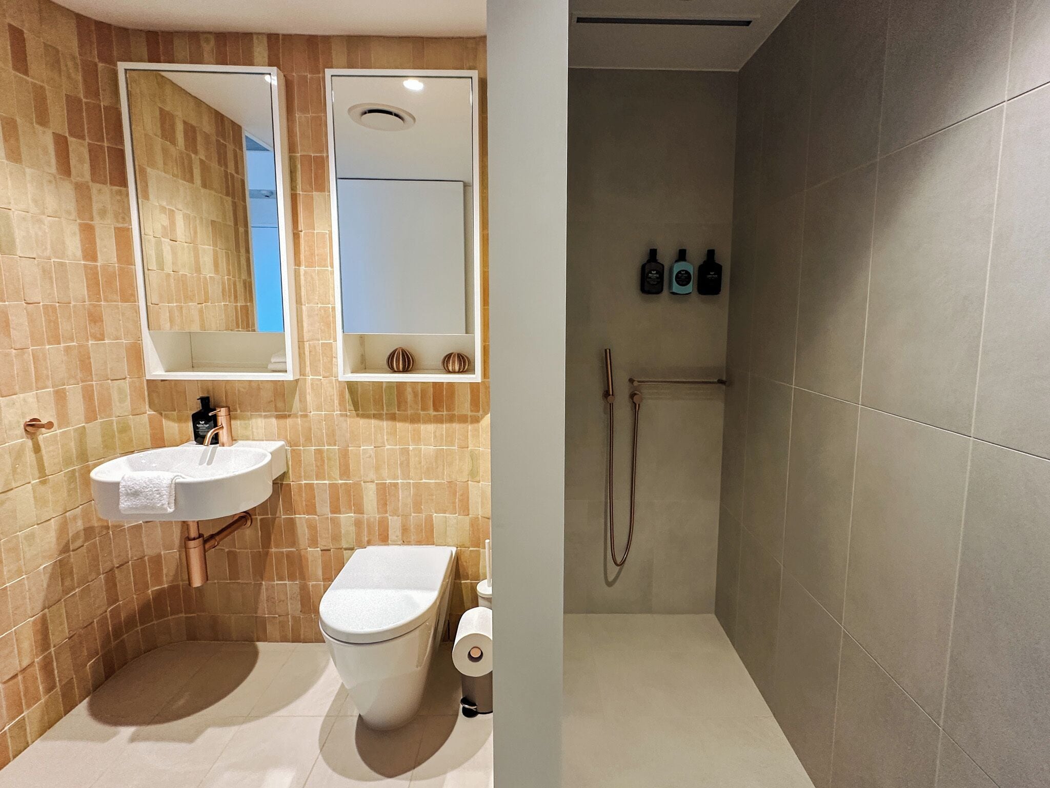 Une salle de bain comprenant un lavabo, des toilettes et un miroir, ainsi qu’un espace douche avec un porte-serviettes et des bouteilles.