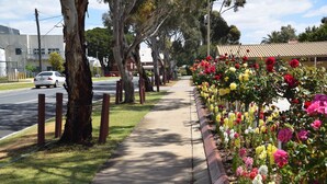 A sidewalk lined with trees and a flower bed with various flowers. - Big River Motel (Echuca)