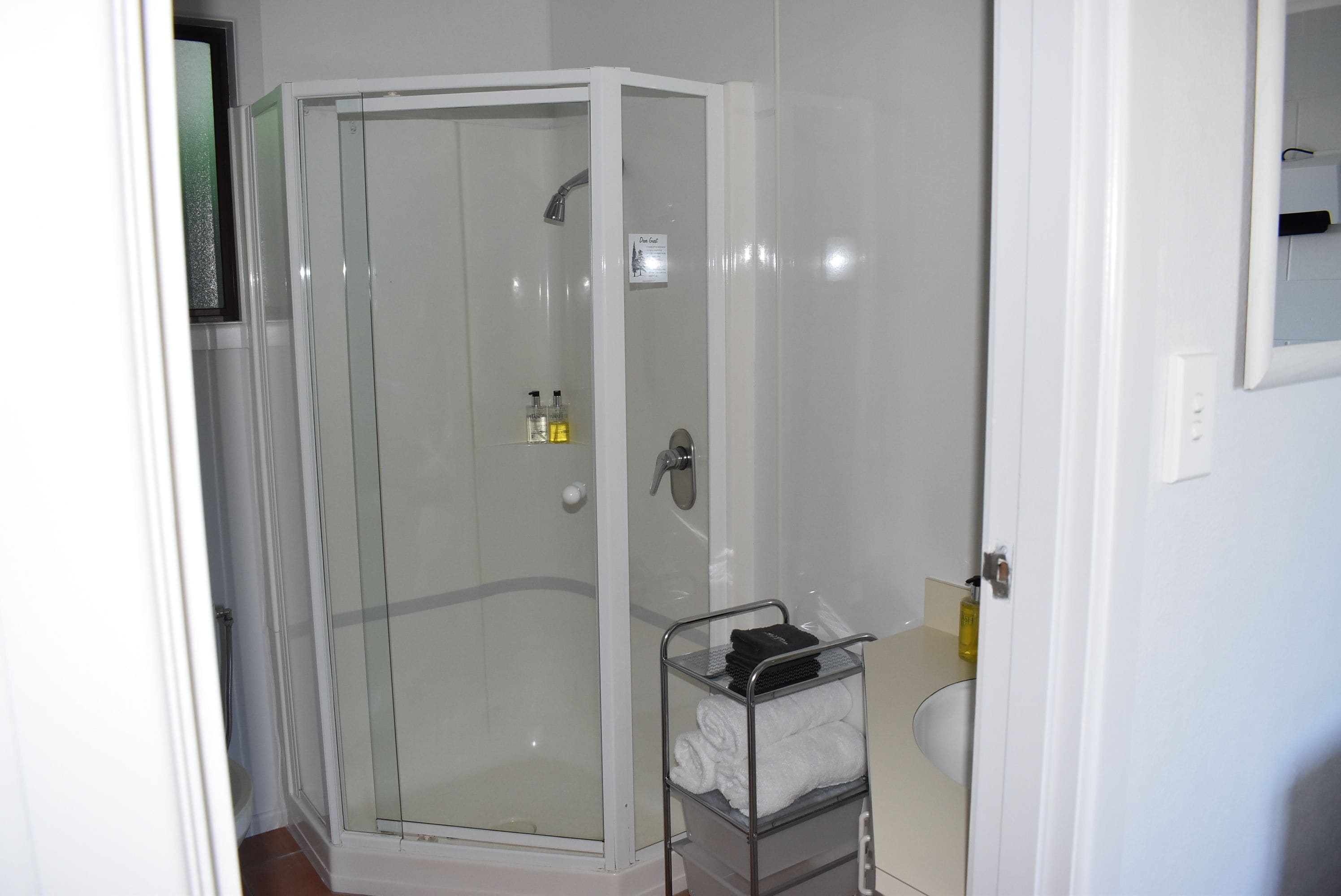 A glass-enclosed shower with a white door, a metal towel rack, and a white sink with a mirror.