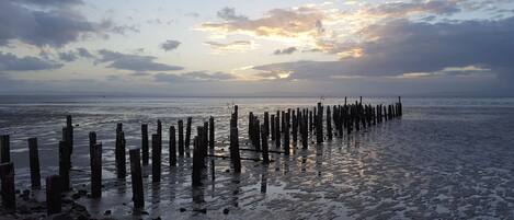 A beach with wooden posts extending into the water, a clear sky, and a calm sea.