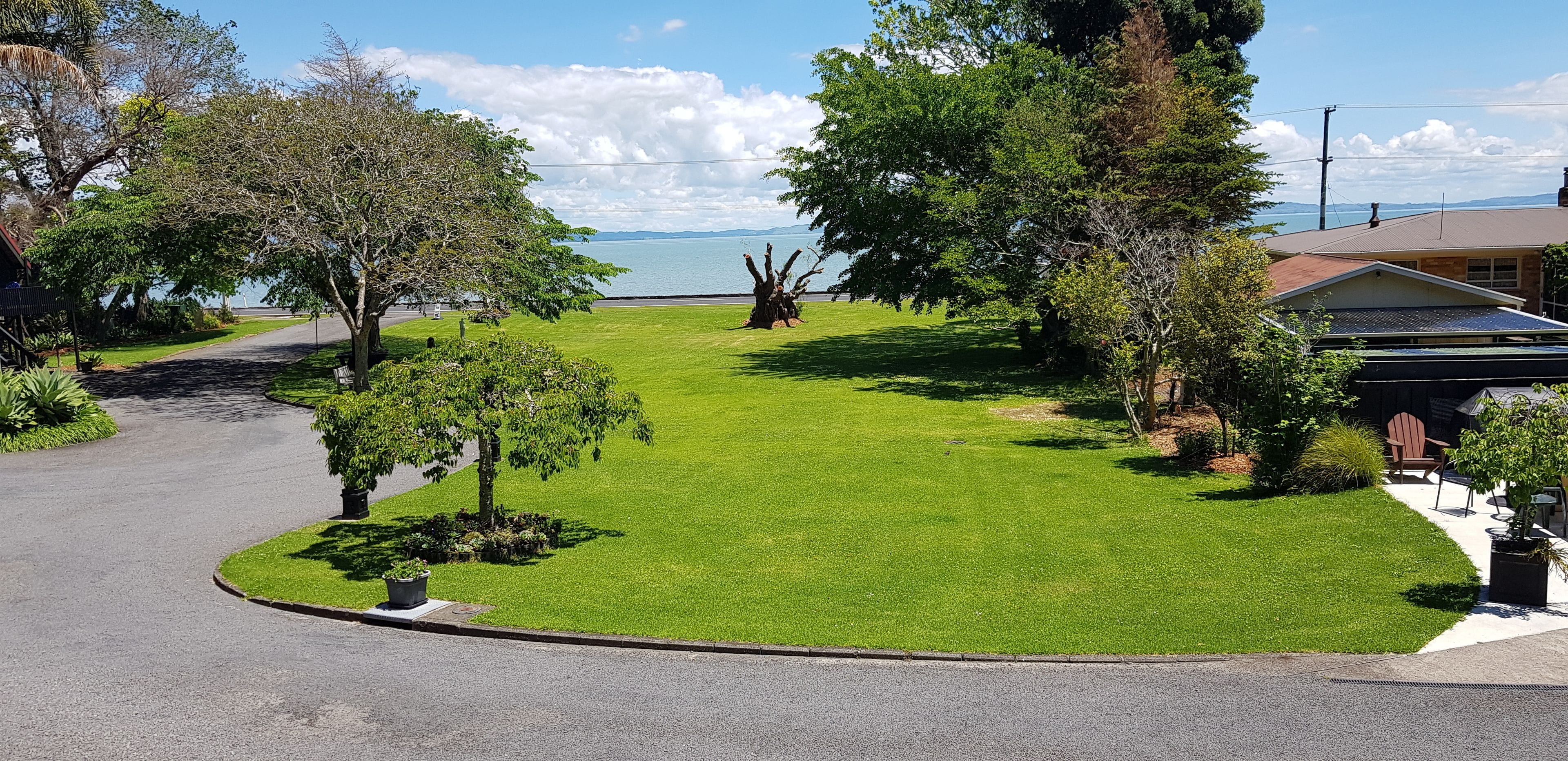 A well-maintained lawn with a curved driveway leading to a house with solar panels, surrounded by trees and a view of the water.
