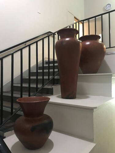 Rotorua Citizens Club