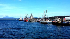 A harbor with several fishing boats docked.