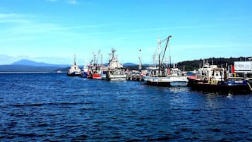 Dock