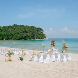 Outdoor wedding area
