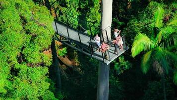 A suspended walkway in a dense forest with people walking on it.