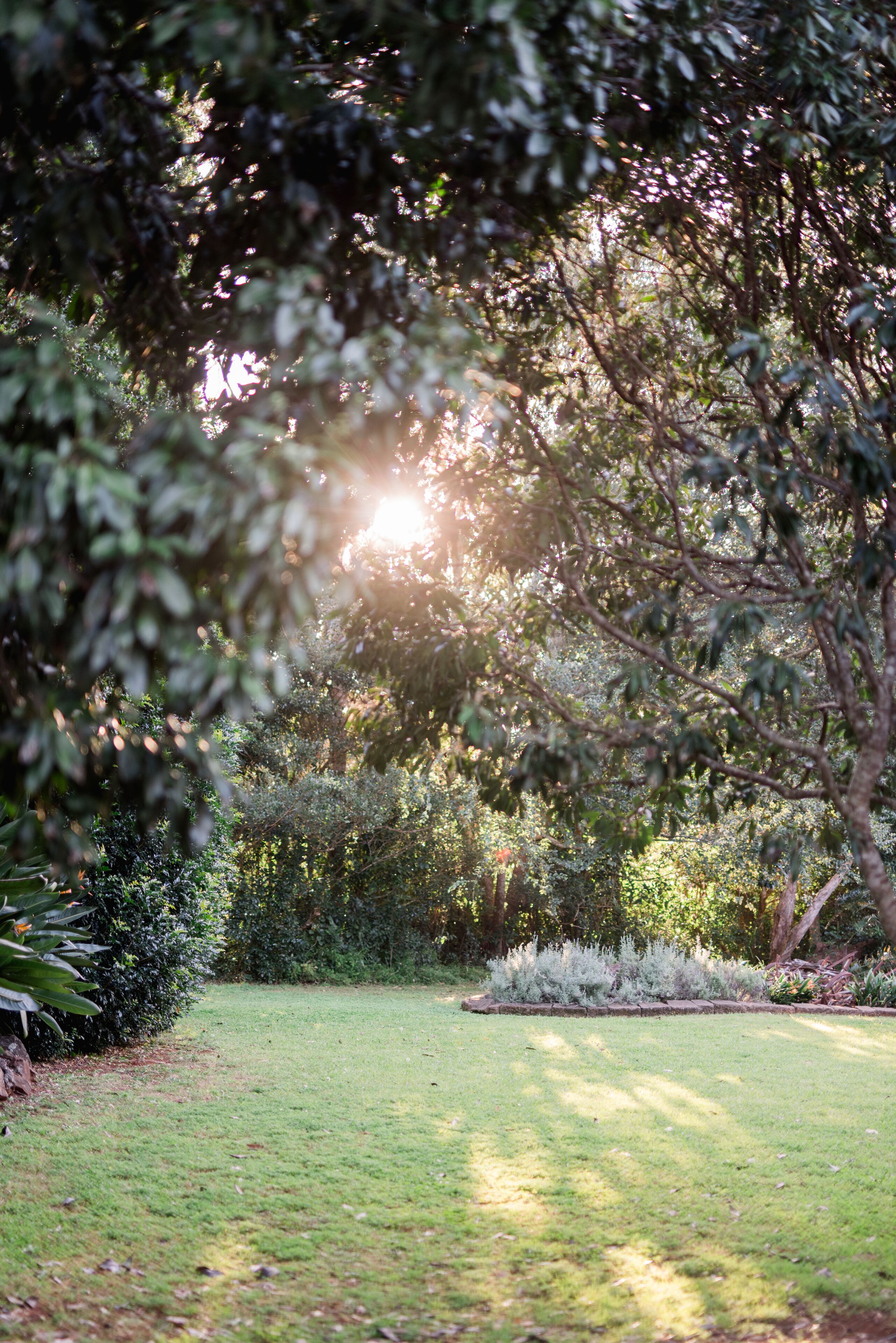 A garden with a lawn, various shrubs, and trees.