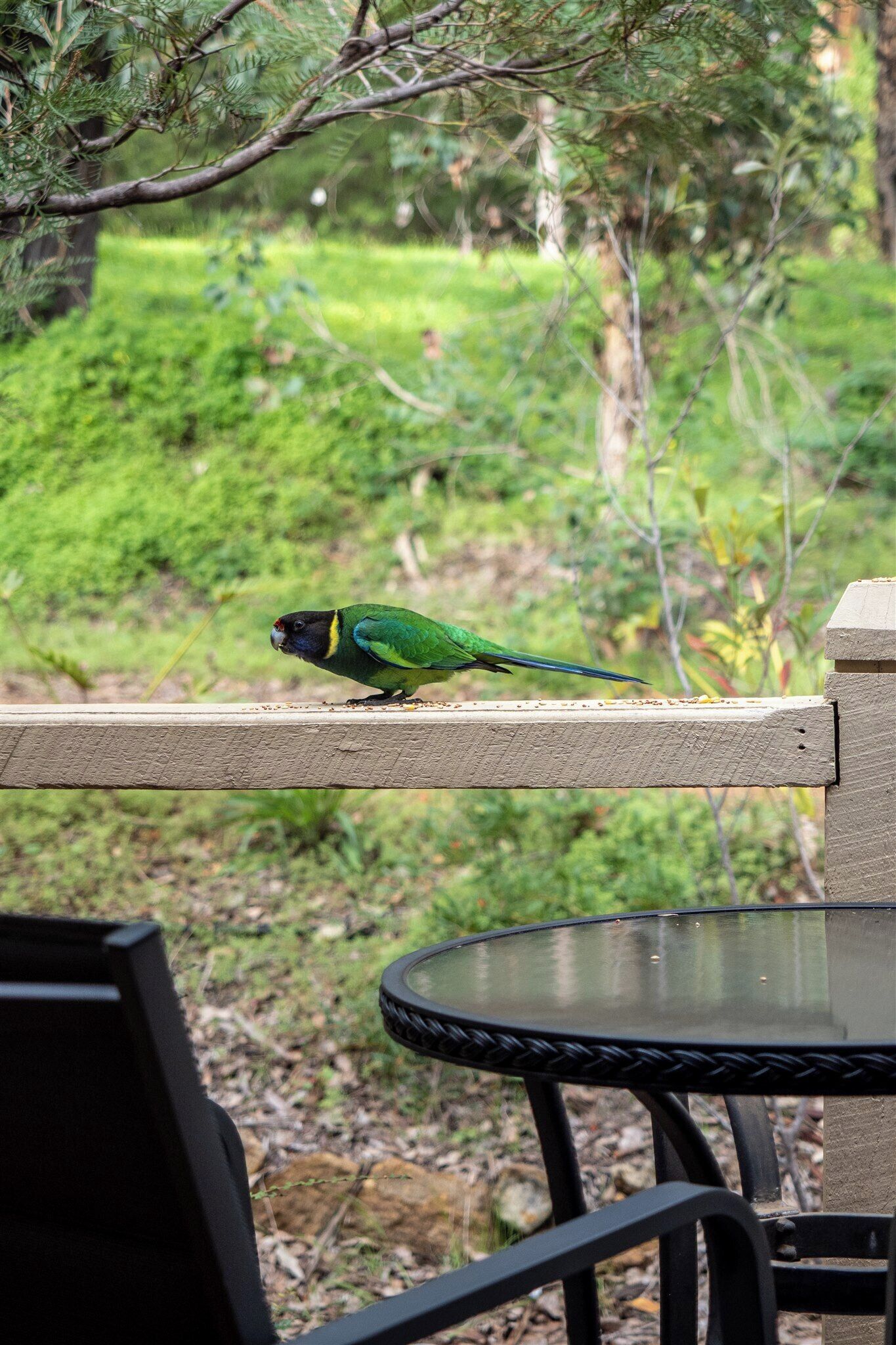 A bird on a wooden ledge with a table and chairs in the foreground.