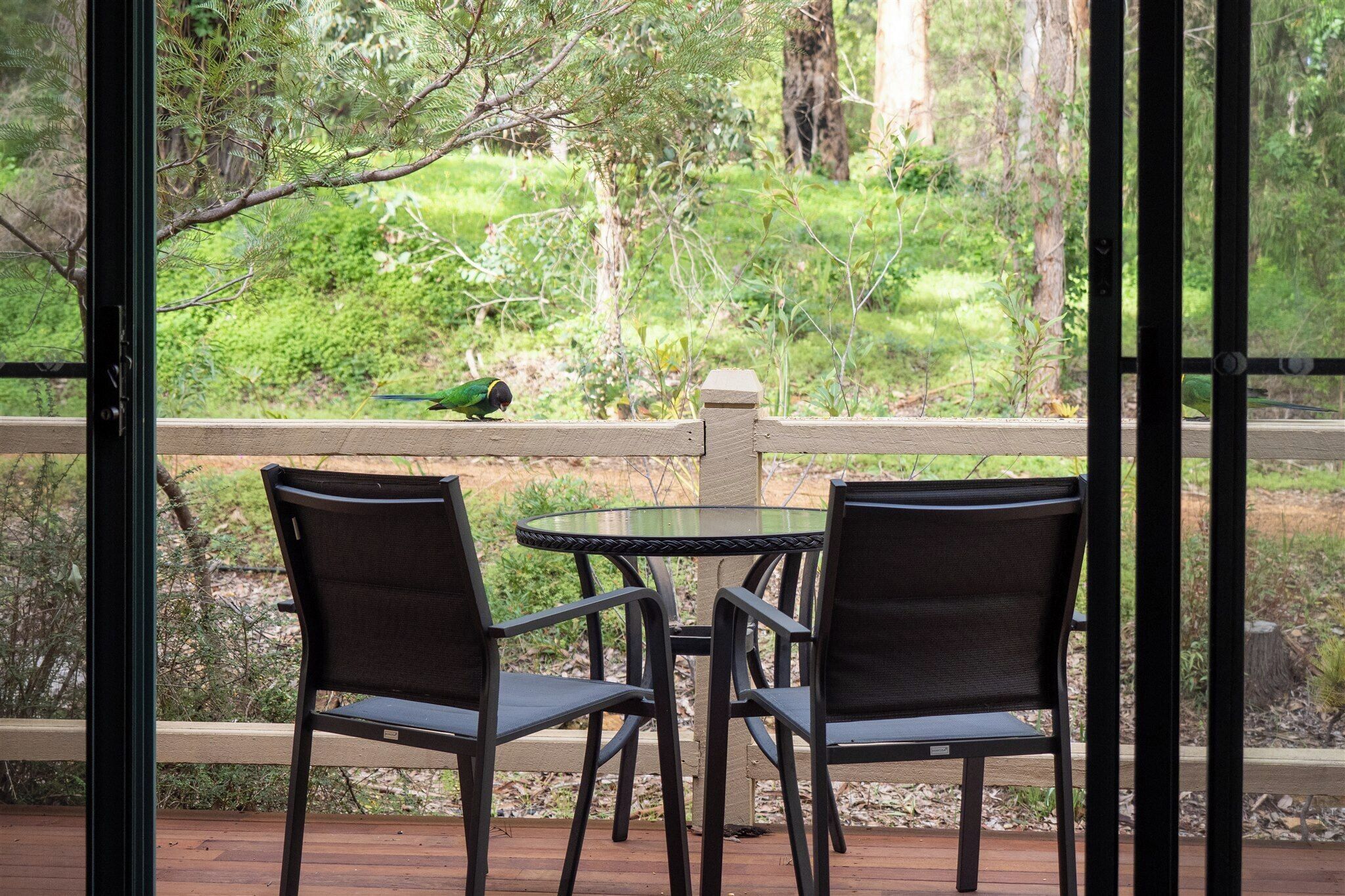 A patio with two chairs and a table, overlooking a garden with a bird on the fence.