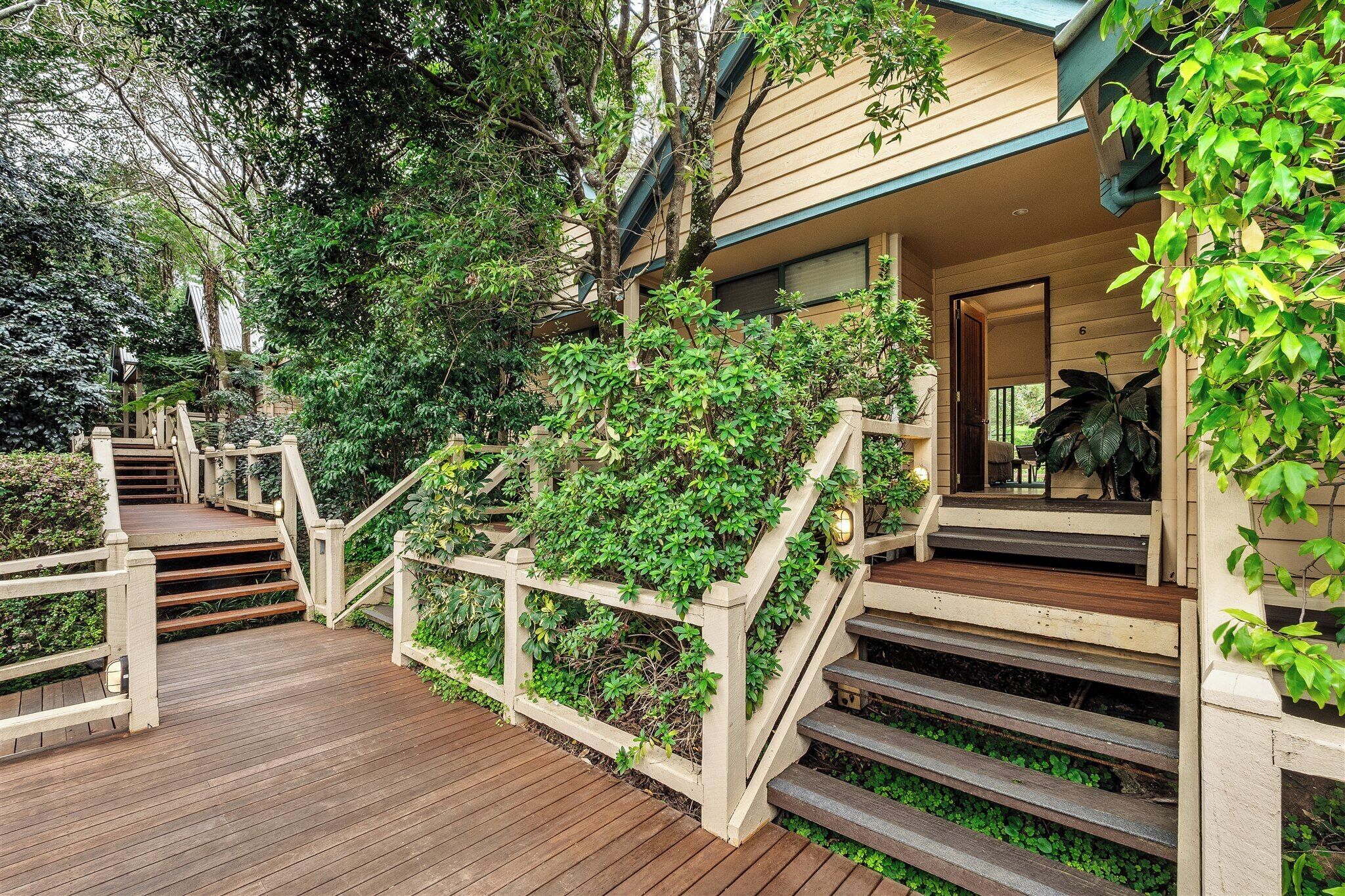 TV 55 pollici con canali via cavo