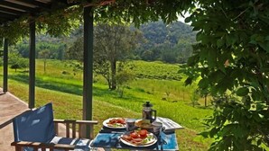 Un espace de restauration en plein air, avec une table dressée pour deux personnes, entourée de chaises, et offrant une vue sur un paysage verdoyant et luxuriant.