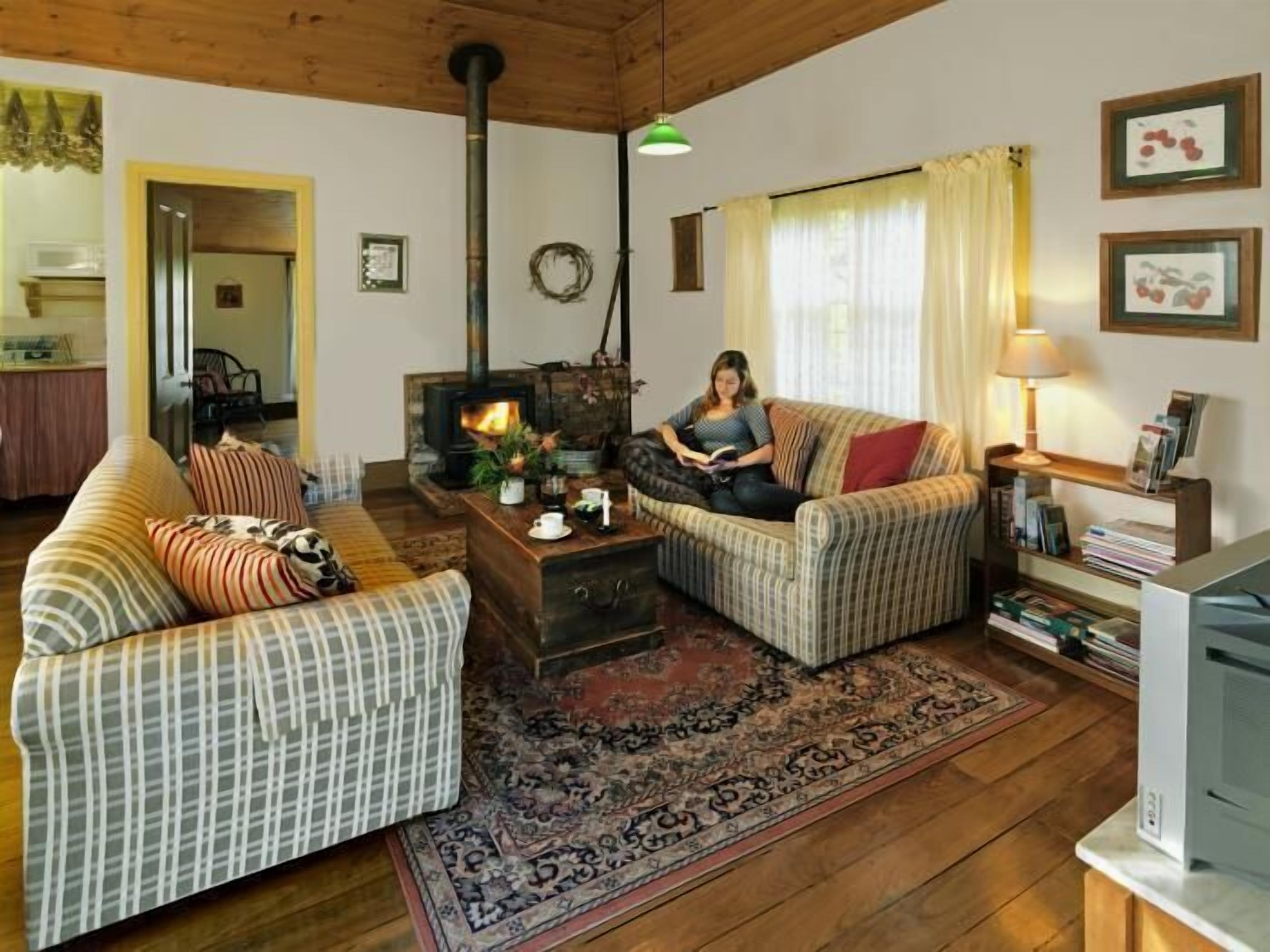 Una sala de estar acogedora con chimenea, dos sofás, una mesa de centro y una televisión.