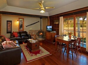 LCD TV, fireplace, DVD player