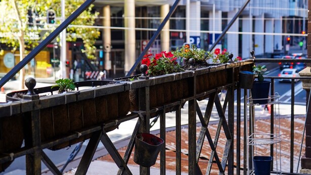 City view - Tiger Hostel Sydney (Haymarket)