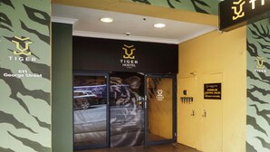 Interior entrance - Tiger Hostel Sydney (Haymarket)