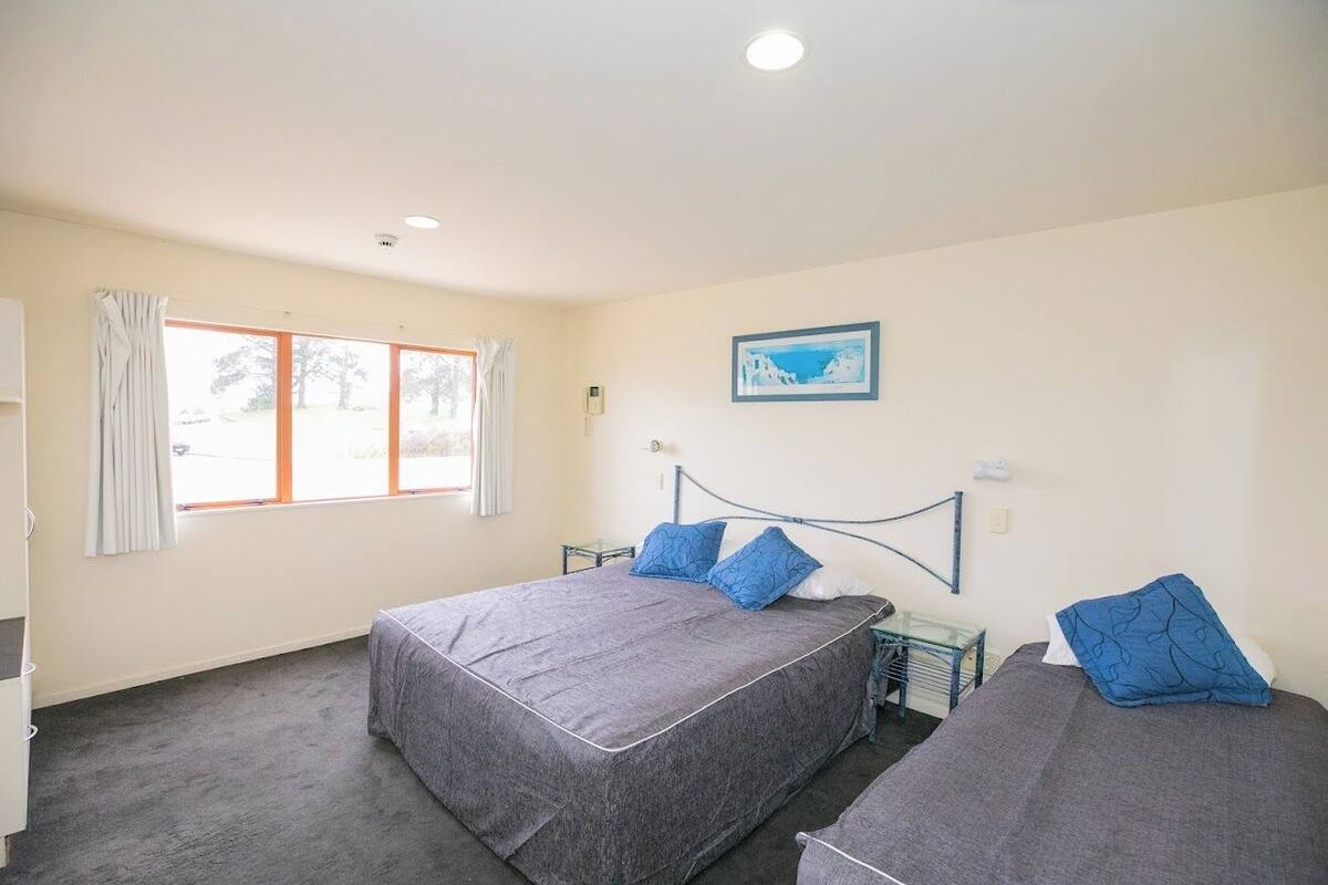 A bedroom with two beds, a window with curtains, a framed picture on the wall, and a ceiling light.