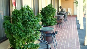 An outdoor seating area with potted plants and metal chairs. - Murray River Motel (Swan Hill)