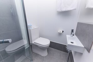 Un baño moderno con inodoro, ducha y lavabo.