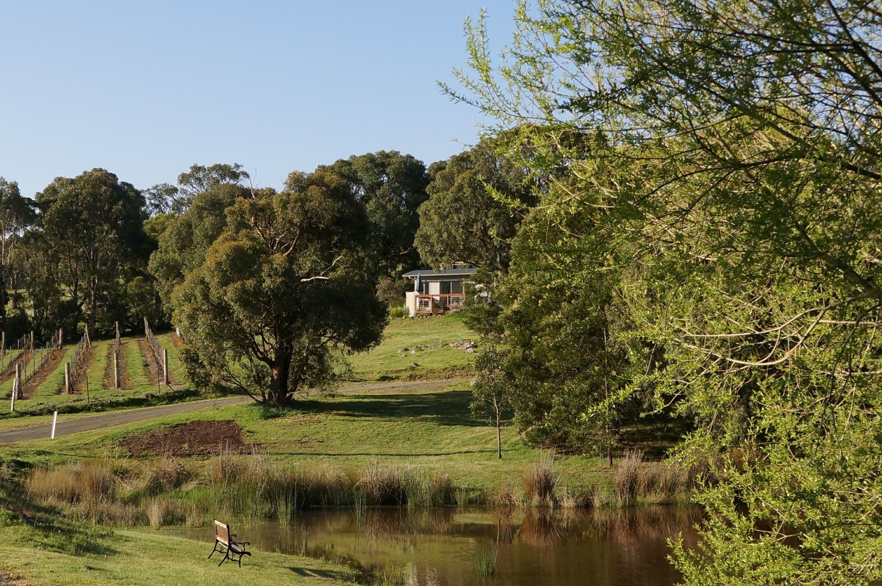 A serene landscape with a pond, a bench, and a house on a hill.