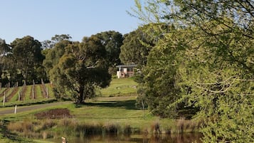 A serene landscape with a pond, a bench, and a house on a hill.