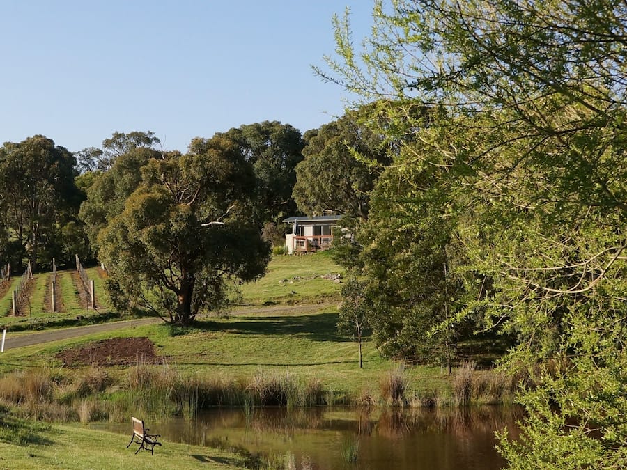 A serene landscape with a pond, a bench, and a house on a hill.
