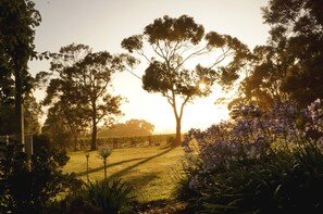 View from property - Gisborne Peak Winery Cottages (Gisborne)