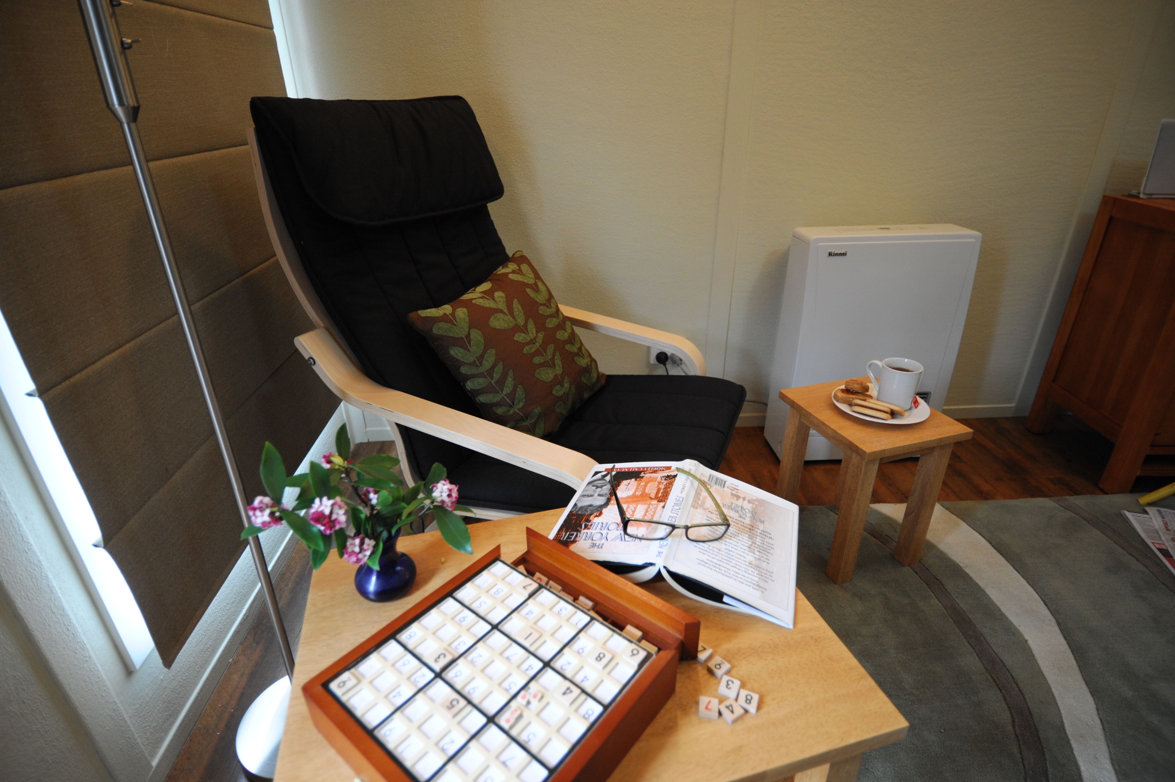 A room with a chair, a small table with a cup, a radiator, a plant, and a board game.